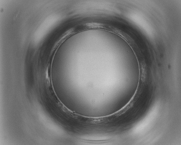 X0000073761198200608241404