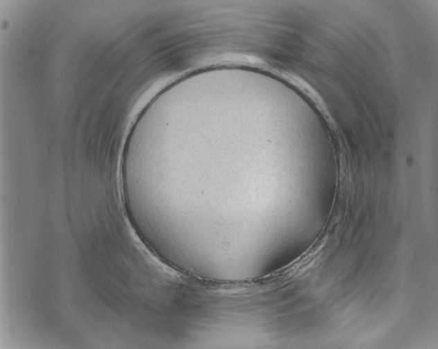 X0000073761199200608241404