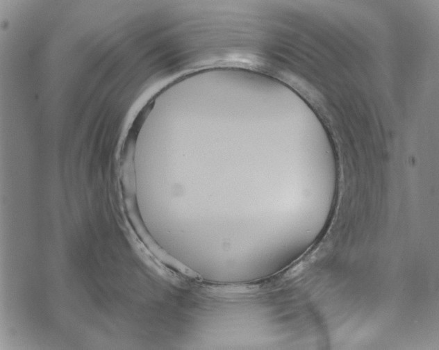 X0000073761200200608241404