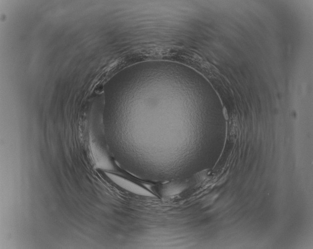 X0000073761202200608241403