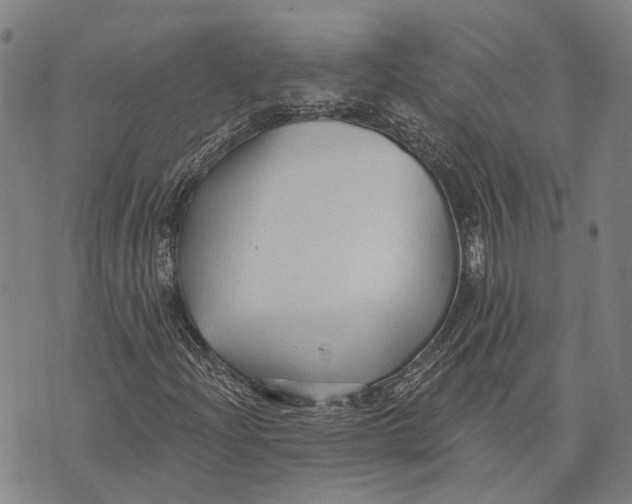 X0000073761204200608241403