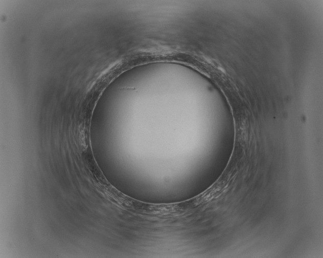 X0000073761205200608241403