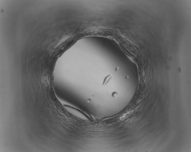 X0000073761206200608241403