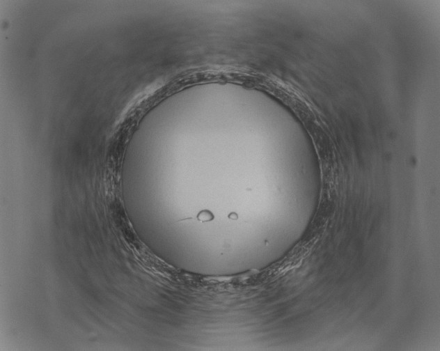 X0000073761207200608241403