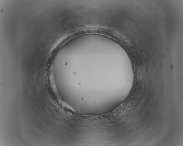 X0000073761208200608241403