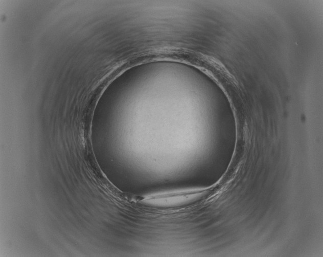 X0000073761209200608241403