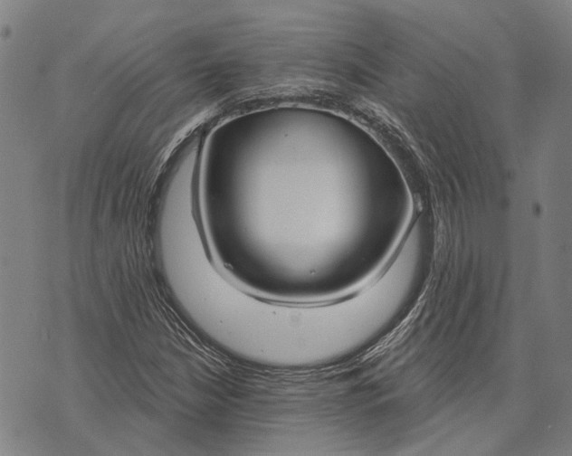 X0000073761210200608241403