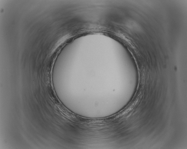 X0000073761211200608241403