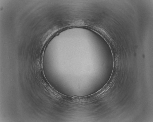 X0000073761212200608241403