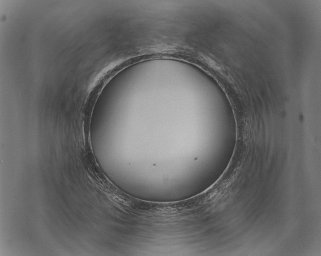 X0000073761214200608241403