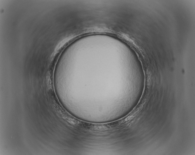 X0000073761215200608241403