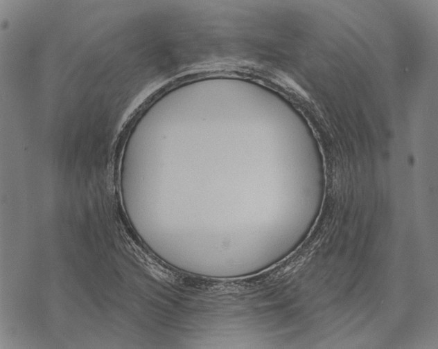 X0000073761216200608241403