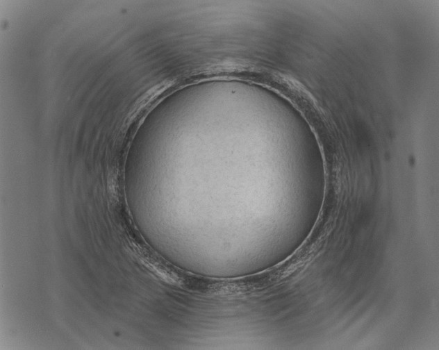 X0000073761217200608241403