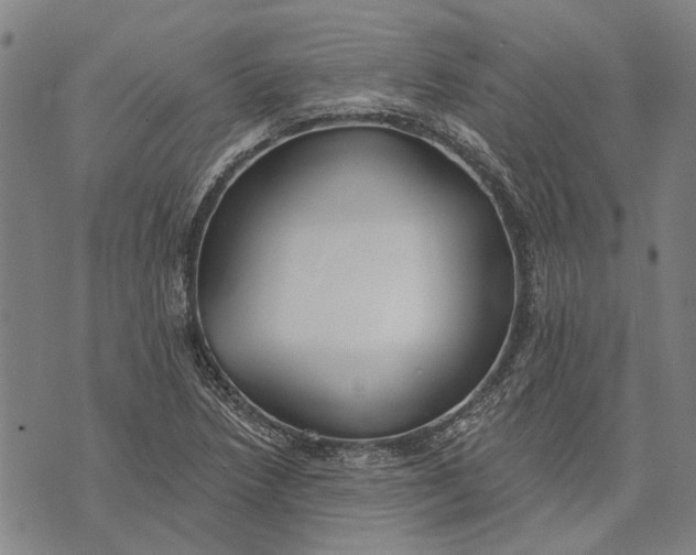 X0000073761218200608241403