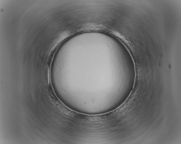 X0000073761219200608241403