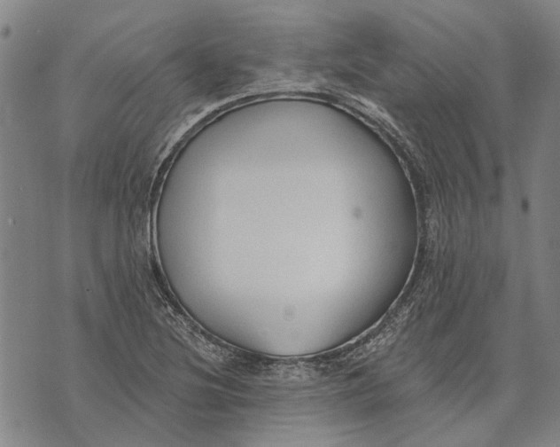 X0000073761220200608241403