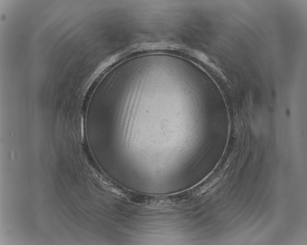 X0000073761221200608241404