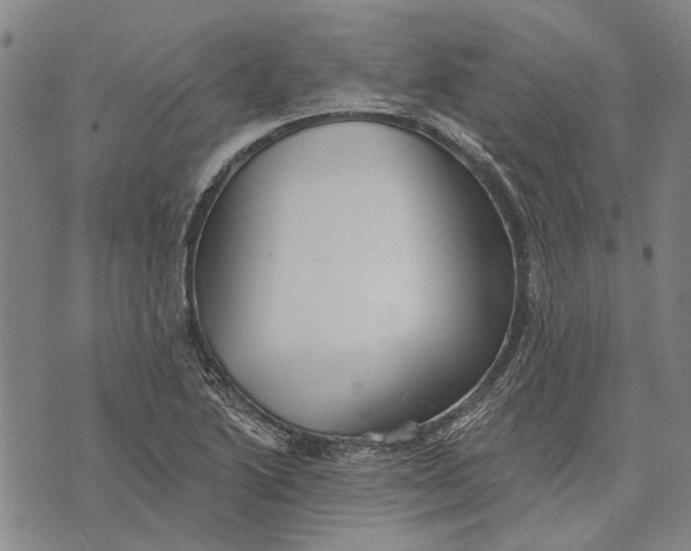 X0000073761222200608241404