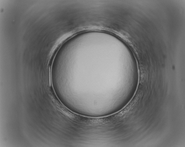 X0000073761223200608241404