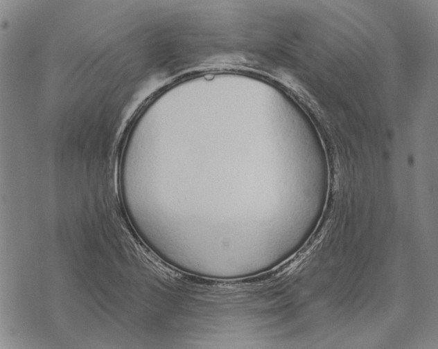 X0000073761224200608241404