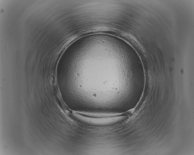 X0000073761225200608241404