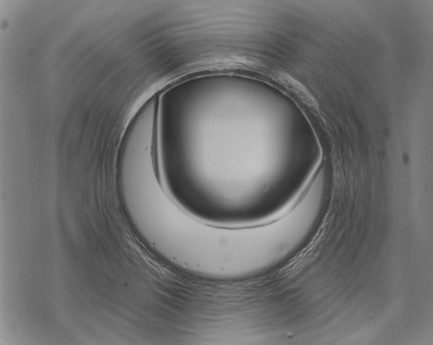 X0000073761226200608241404