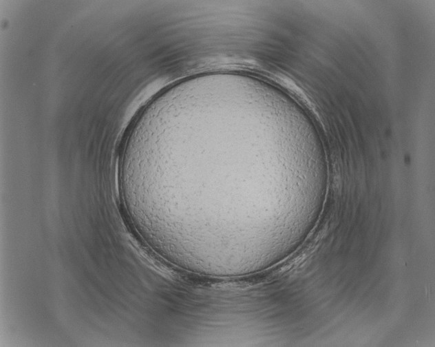 X0000073761227200608241404