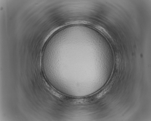 X0000073761228200608241404