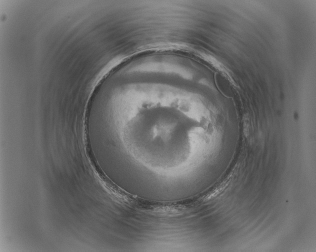 X0000073761229200608241404