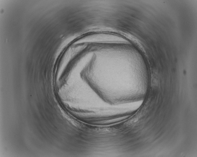 X0000073761231200608241404