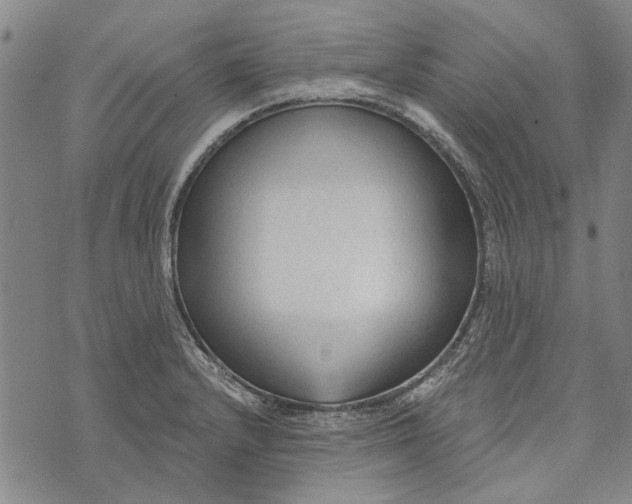 X0000073761232200608241404