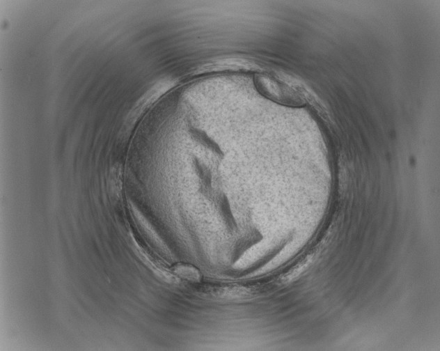 X0000073761233200608241404