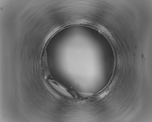 X0000073761234200608241404