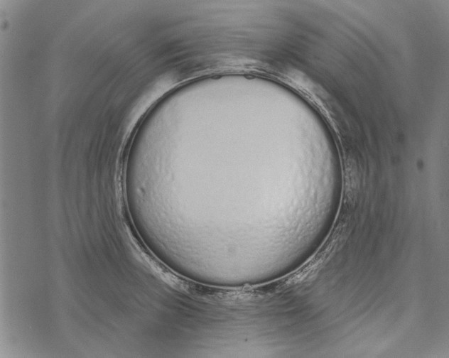 X0000073761235200608241404