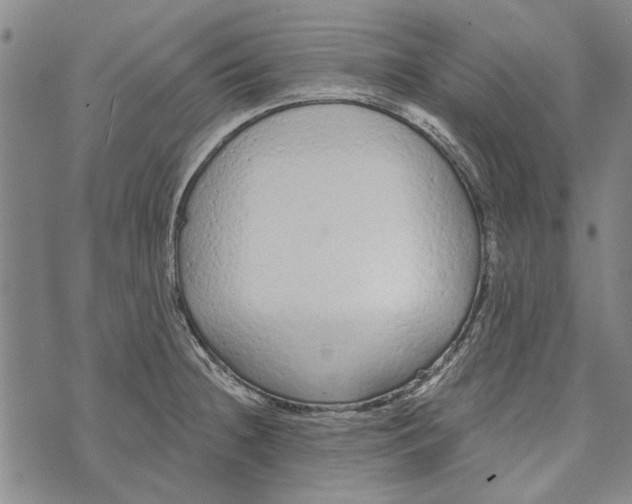 X0000073761236200608241404