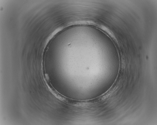 X0000073761237200608241404