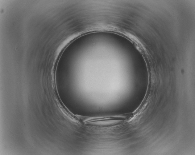 X0000073761238200608241404