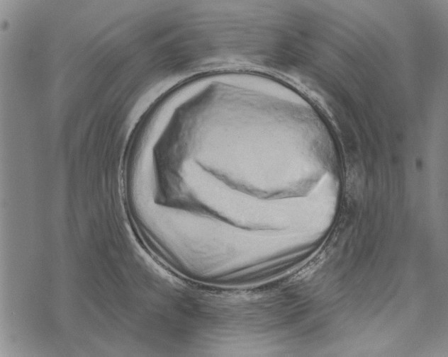 X0000073761239200608241404