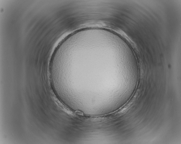 X0000073761240200608241404