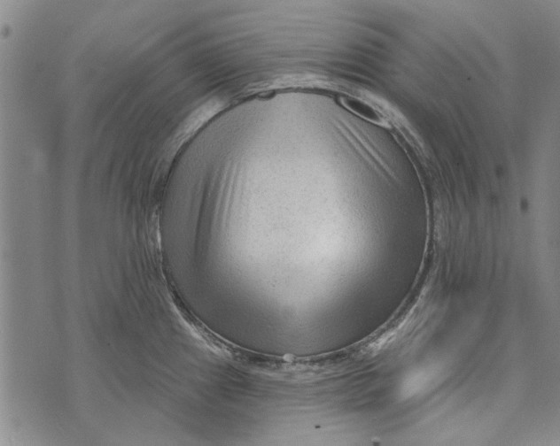 X0000073761241200608241404