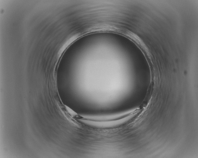 X0000073761242200608241404