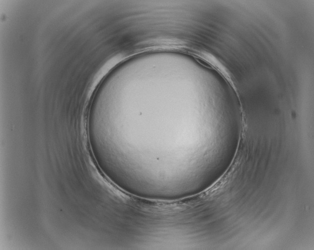 X0000073761243200608241404