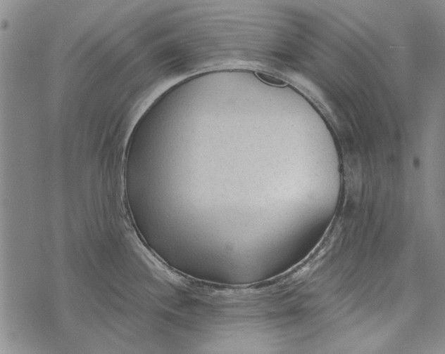 X0000073761244200608241404