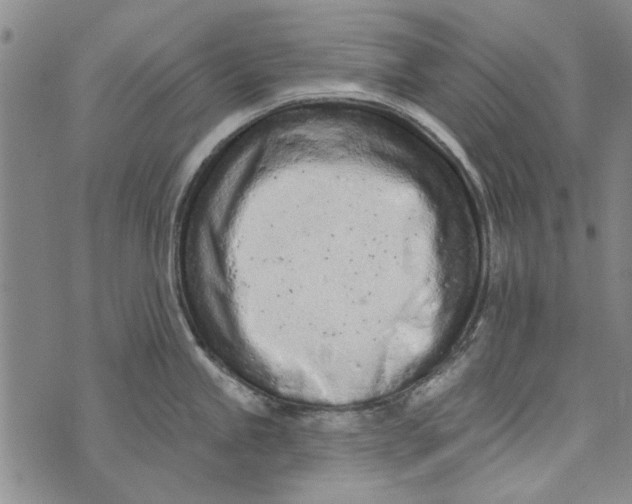 X0000073761245200608241404