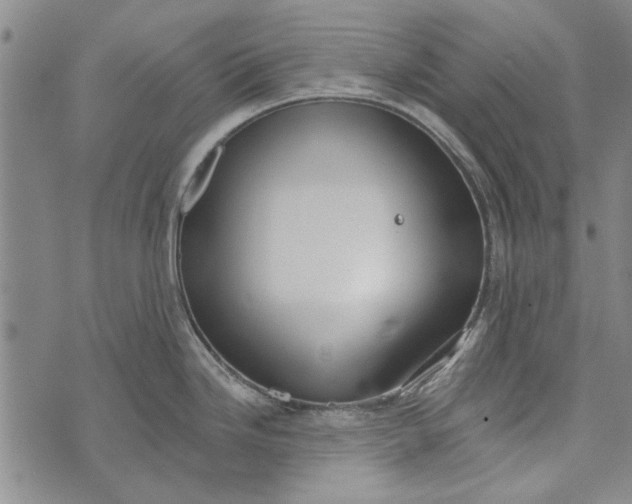 X0000073761246200608241404