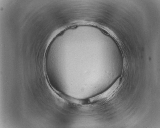 X0000073761247200608241404