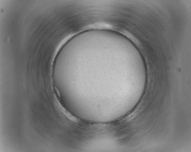 X0000073761248200608241404