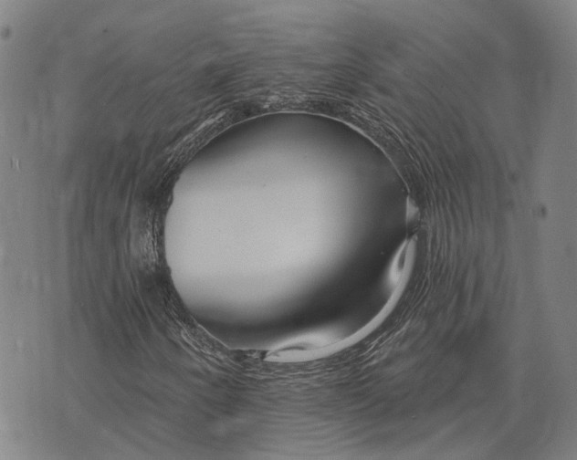 X0000073761250200608241403