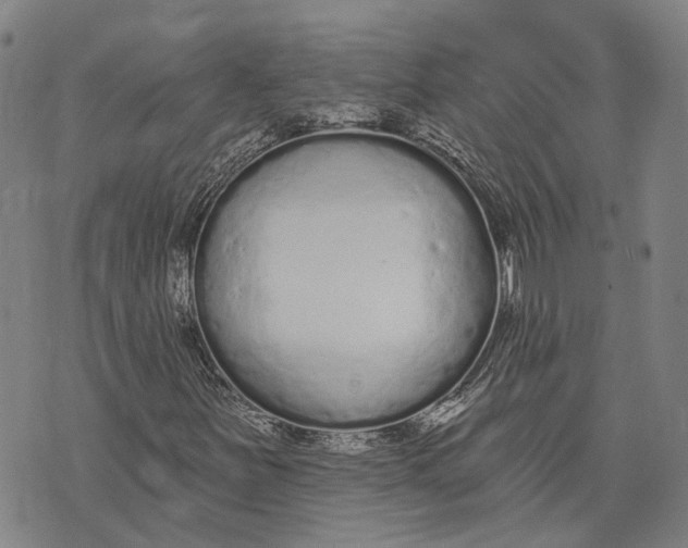 X0000073761251200608241403