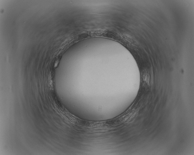 X0000073761252200608241403